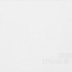 TT207 300х600