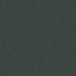 879 Grigio Grafite