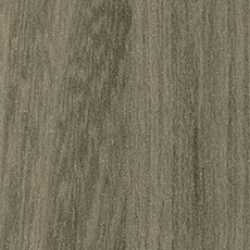 769 Olmo Rustico